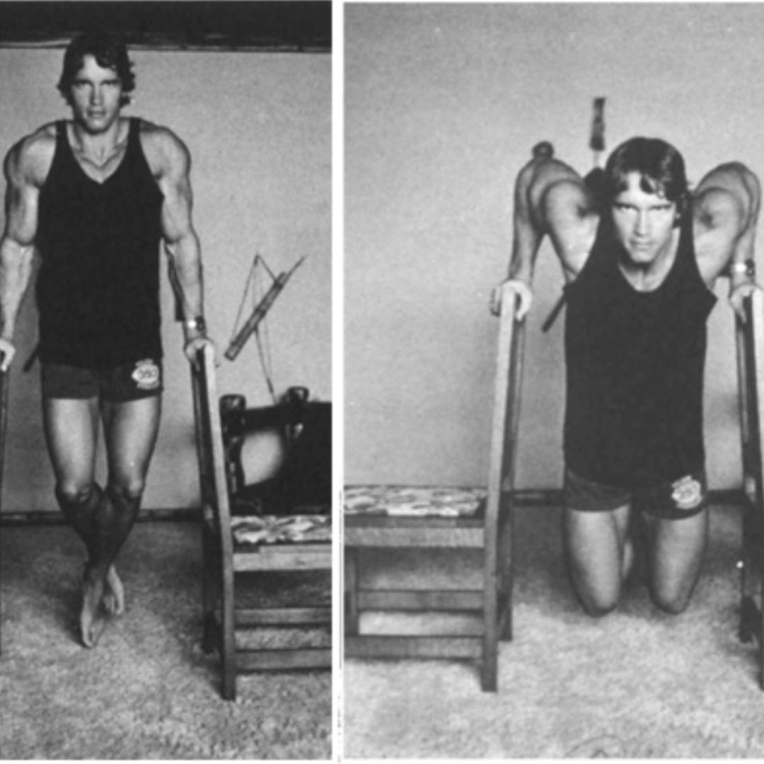 ke huy diet Arnold Schwarzenegger anh 7