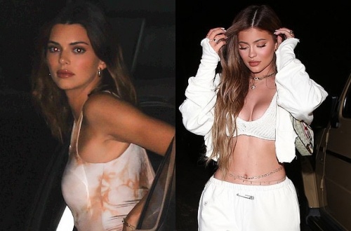 Chi em Kendall Jenner du tiec giua luc gian cach xa hoi hinh anh