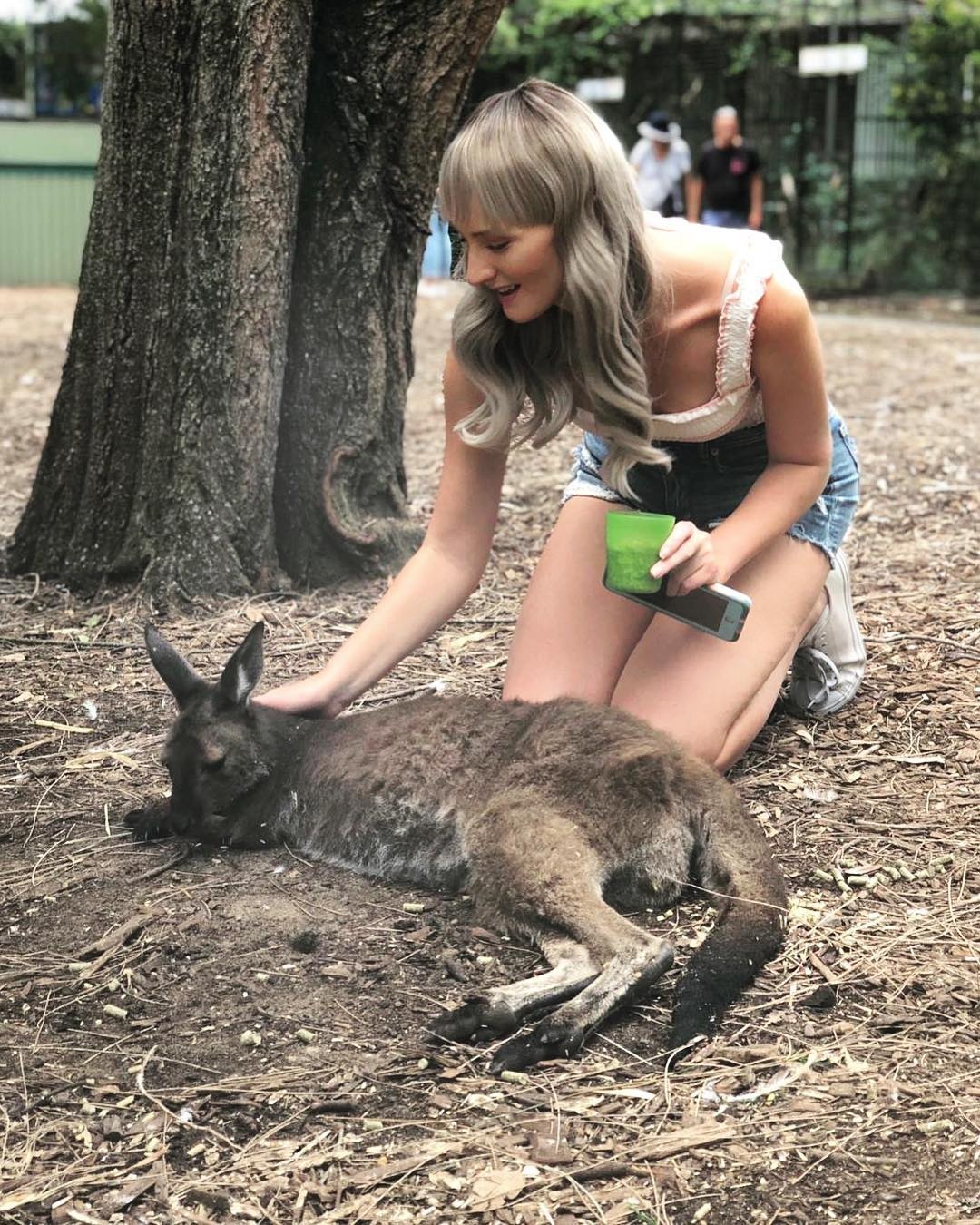 hoa hau mac ung thu anh 11