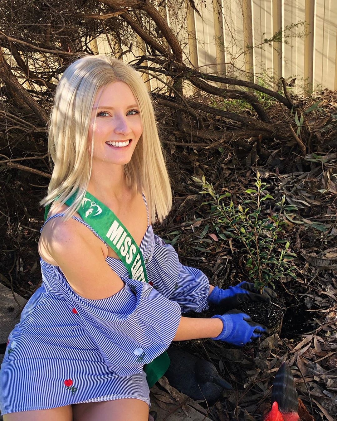 hoa hau mac ung thu anh 10