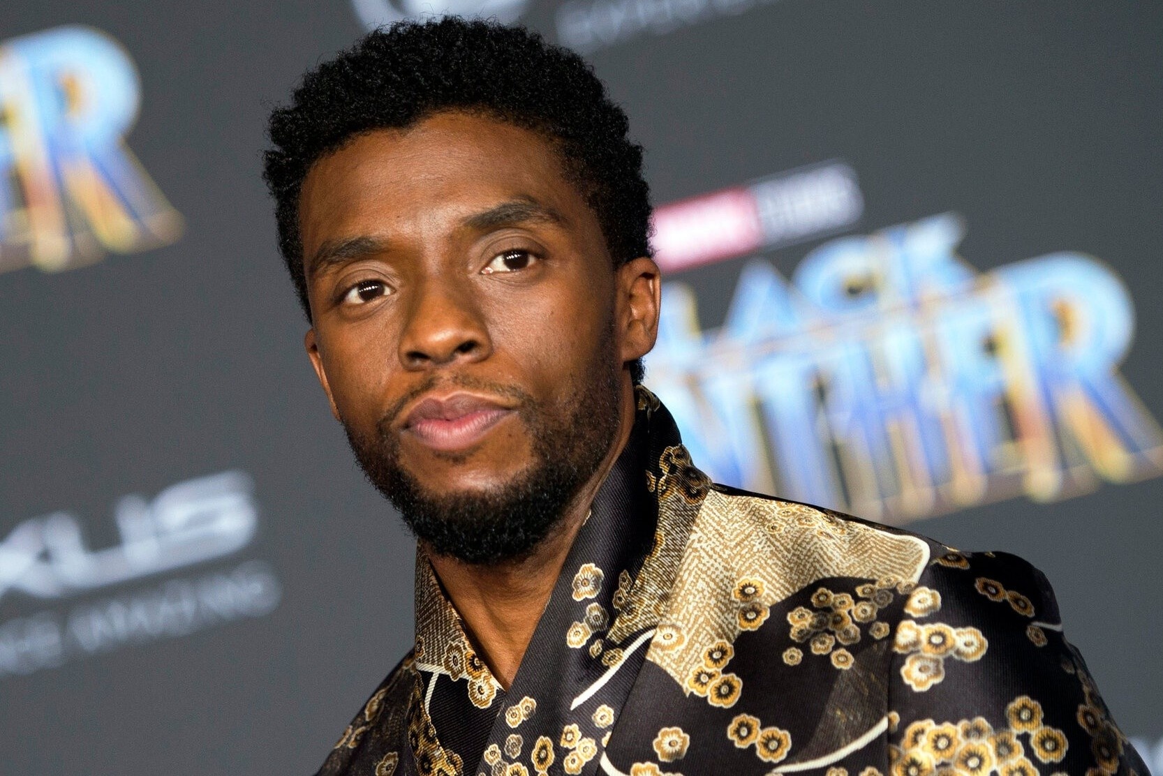 'Bao Den' Chadwick Boseman co the duoc dung tuong o que nha hinh anh