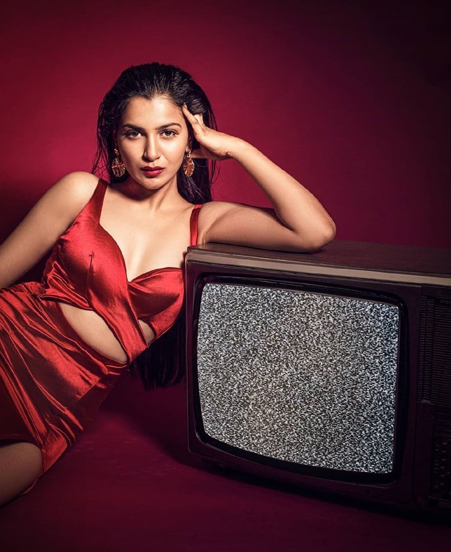 hoa hau trai dat an do 2020 anh 9