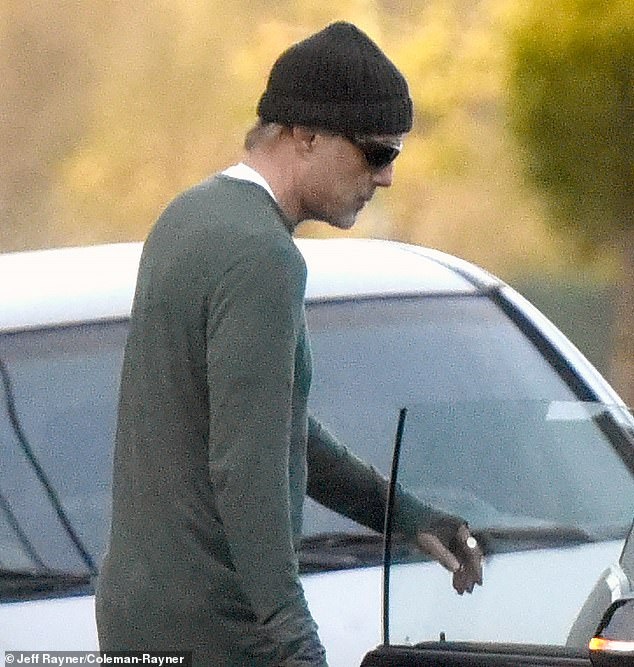 Angelina Jolie hôn môi anh trai ảnh 1 Angelina Jolie hon moi anh trai anh 1