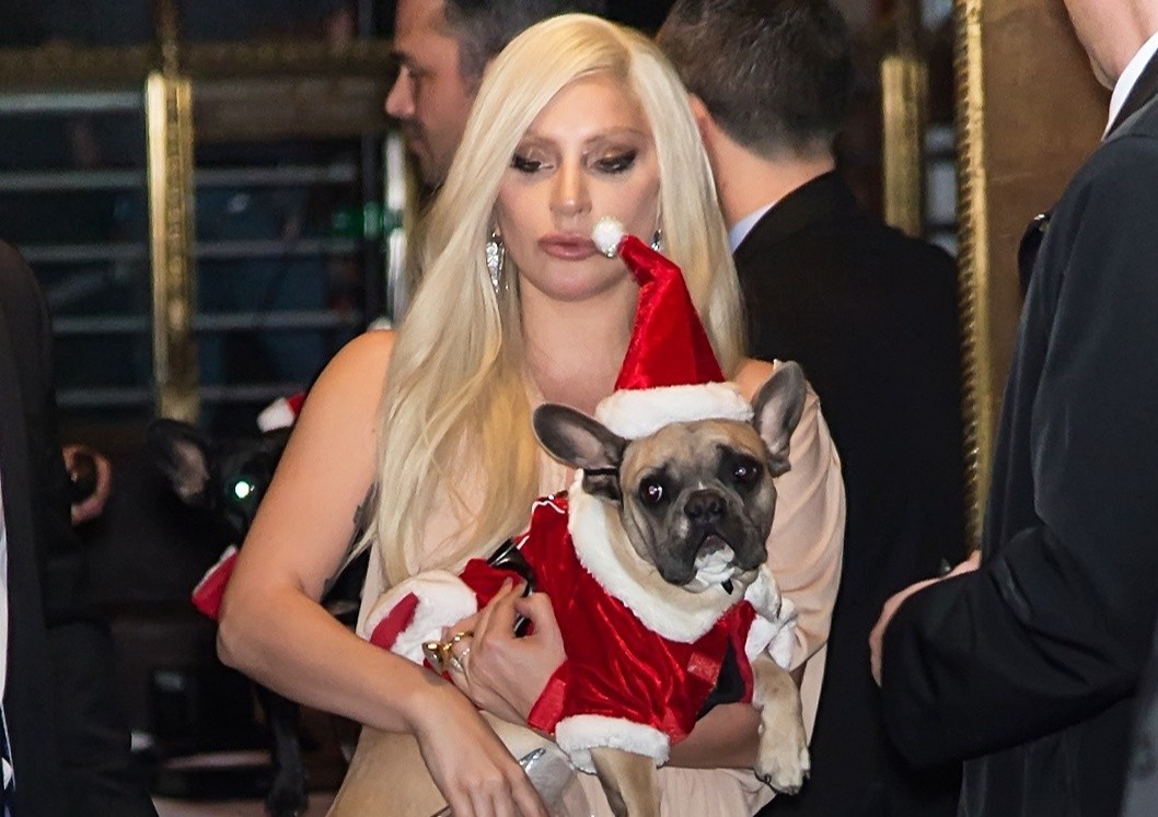 Lady Gaga duoc tra lai cho cung hinh anh