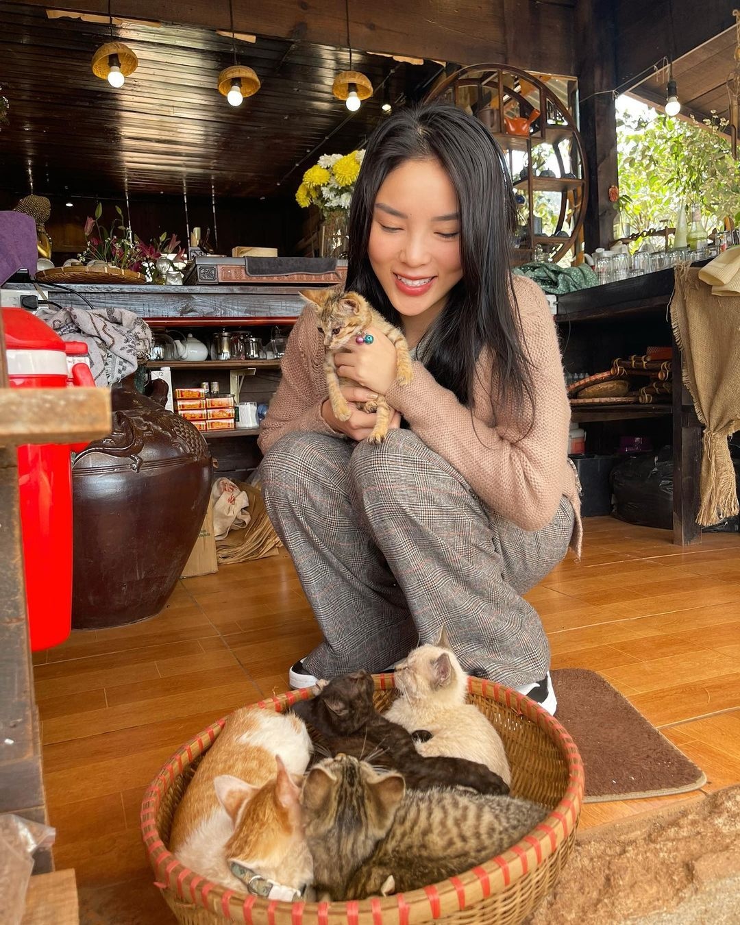 sao nhập ngũ ảnh 5 sao nhap ngu anh 5