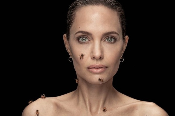 Angelina Jolie chup anh voi ong hinh anh