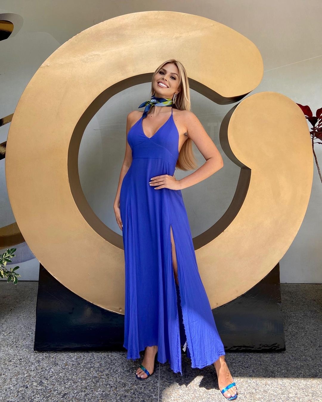 hoa hau venezuela anh 7