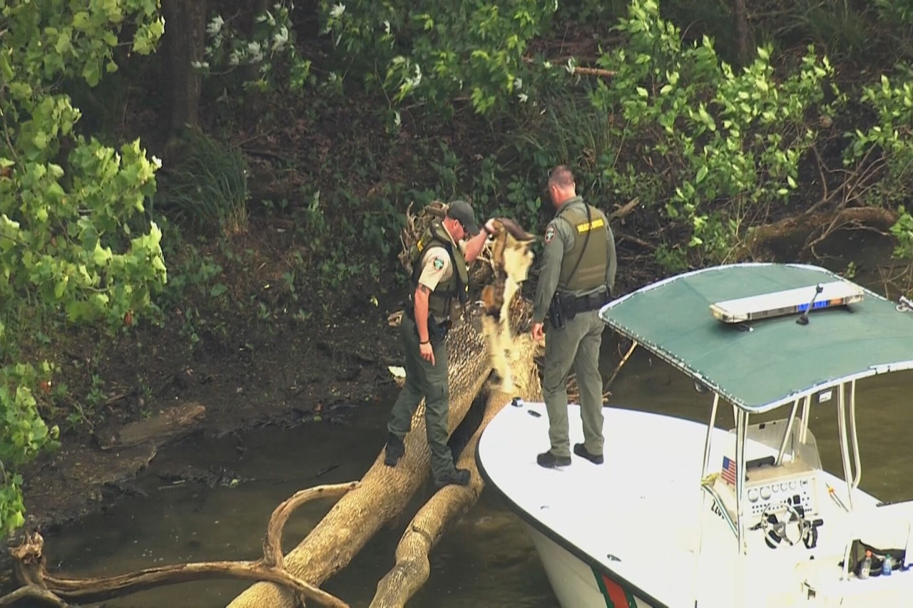 Vợ chồng sao Tarzan qua đời ảnh 1 Vo chong sao Tarzan qua doi anh 1