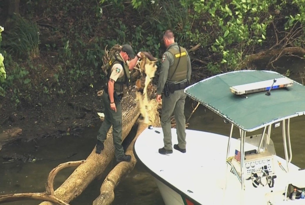 Hien truong vu may bay roi khien sao 'Tarzan' tu nan hinh anh