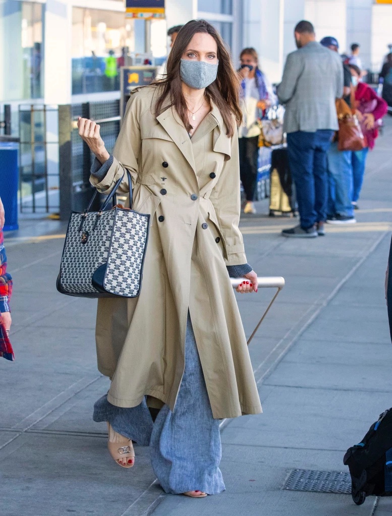 Angelina Jolie va Brad Pitt anh 3