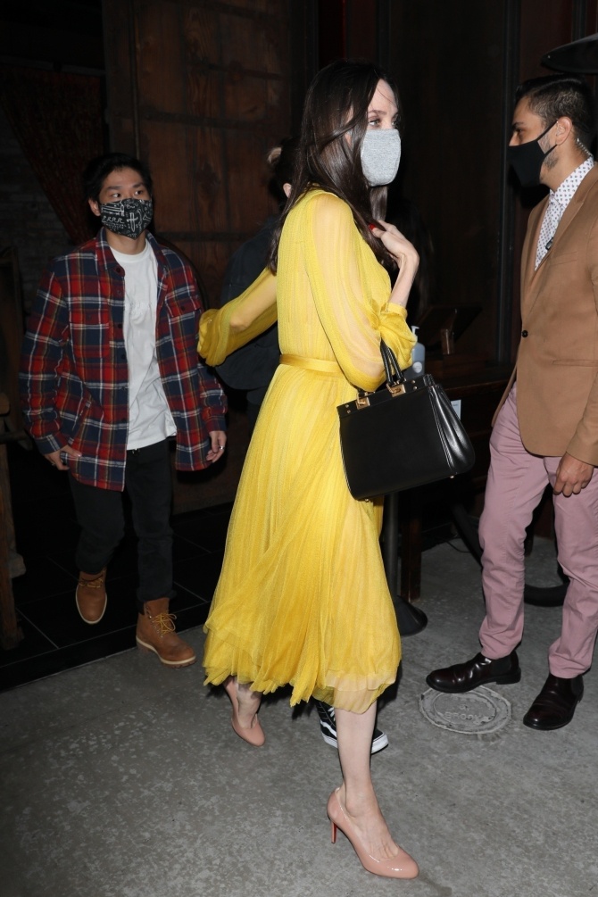 Angelina Jolie va Brad Pitt anh 5