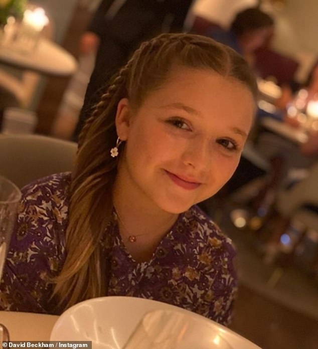 sinh nhat harper beckham anh 2