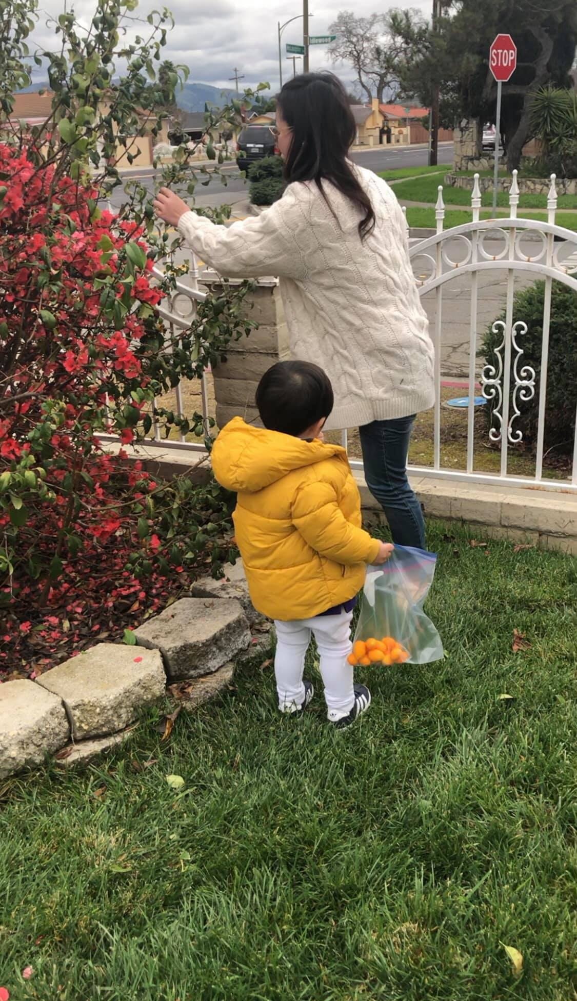 dan truong ly hon anh 8