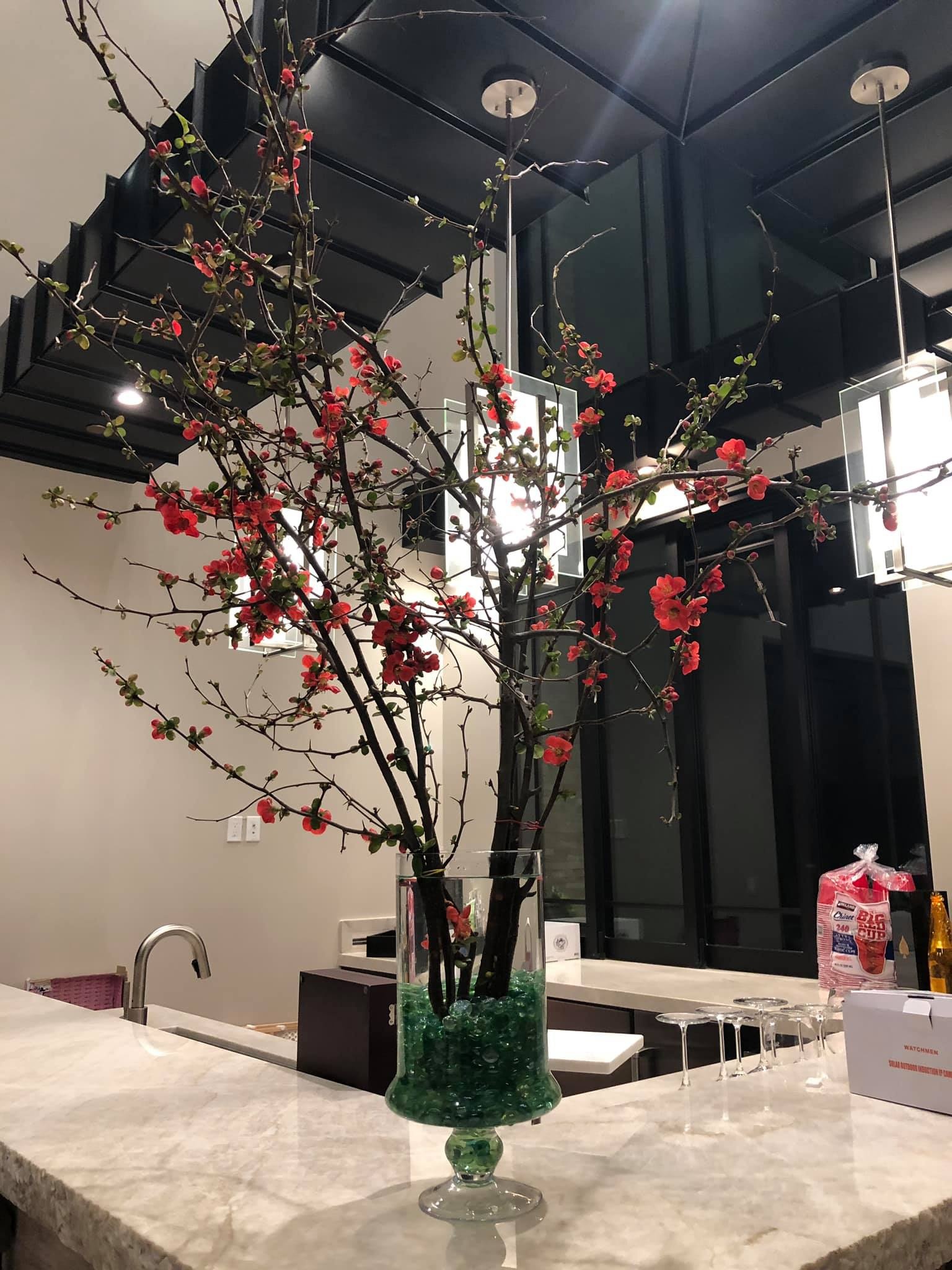 dan truong ly hon anh 9