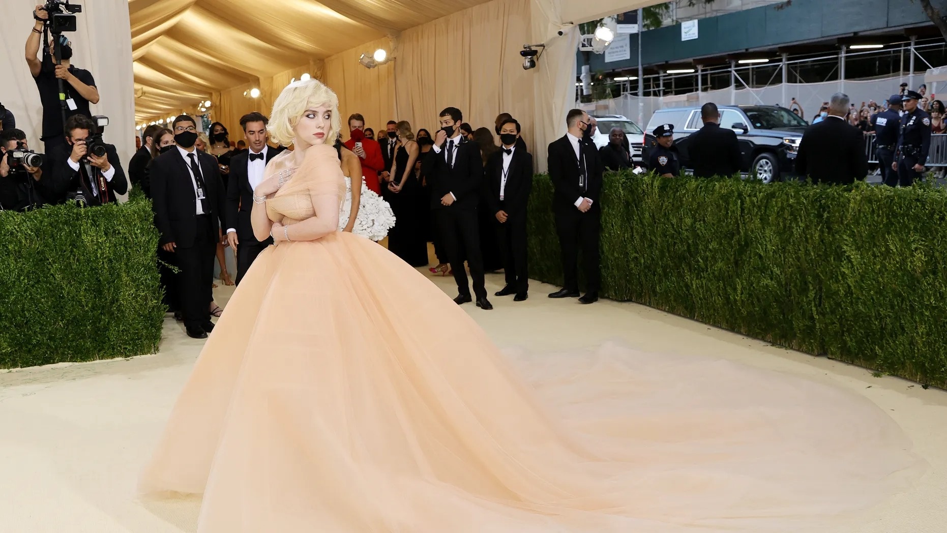 Billie Eilish xem khách mời Met Gala là kẻ vô tích sự ảnh 1 Billie Eilish xem khach moi Met Gala la ke vo tich su anh 1