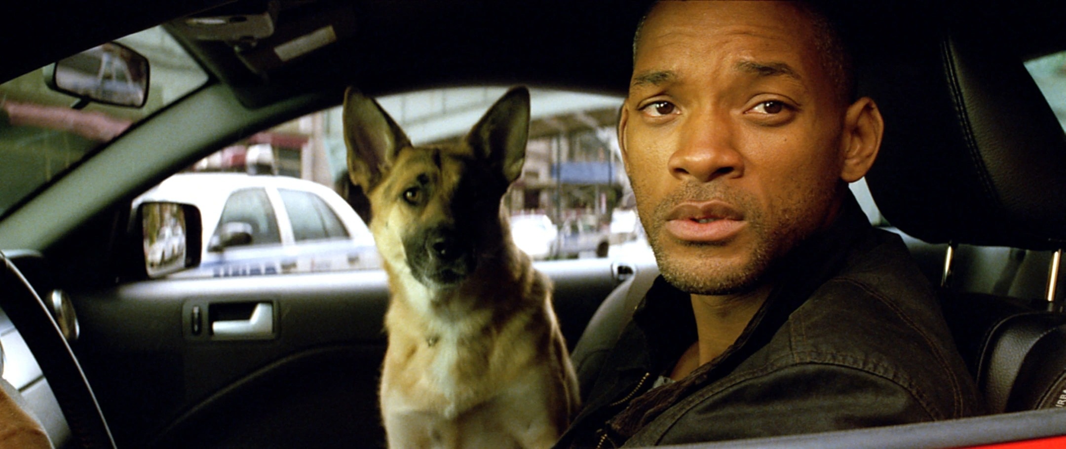 Will Smith tham gia I Am Legend 2 anh 2