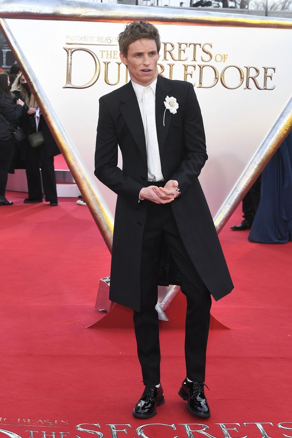 tham do Fantastic Beasts: The Secrets of Dumbledore anh 2