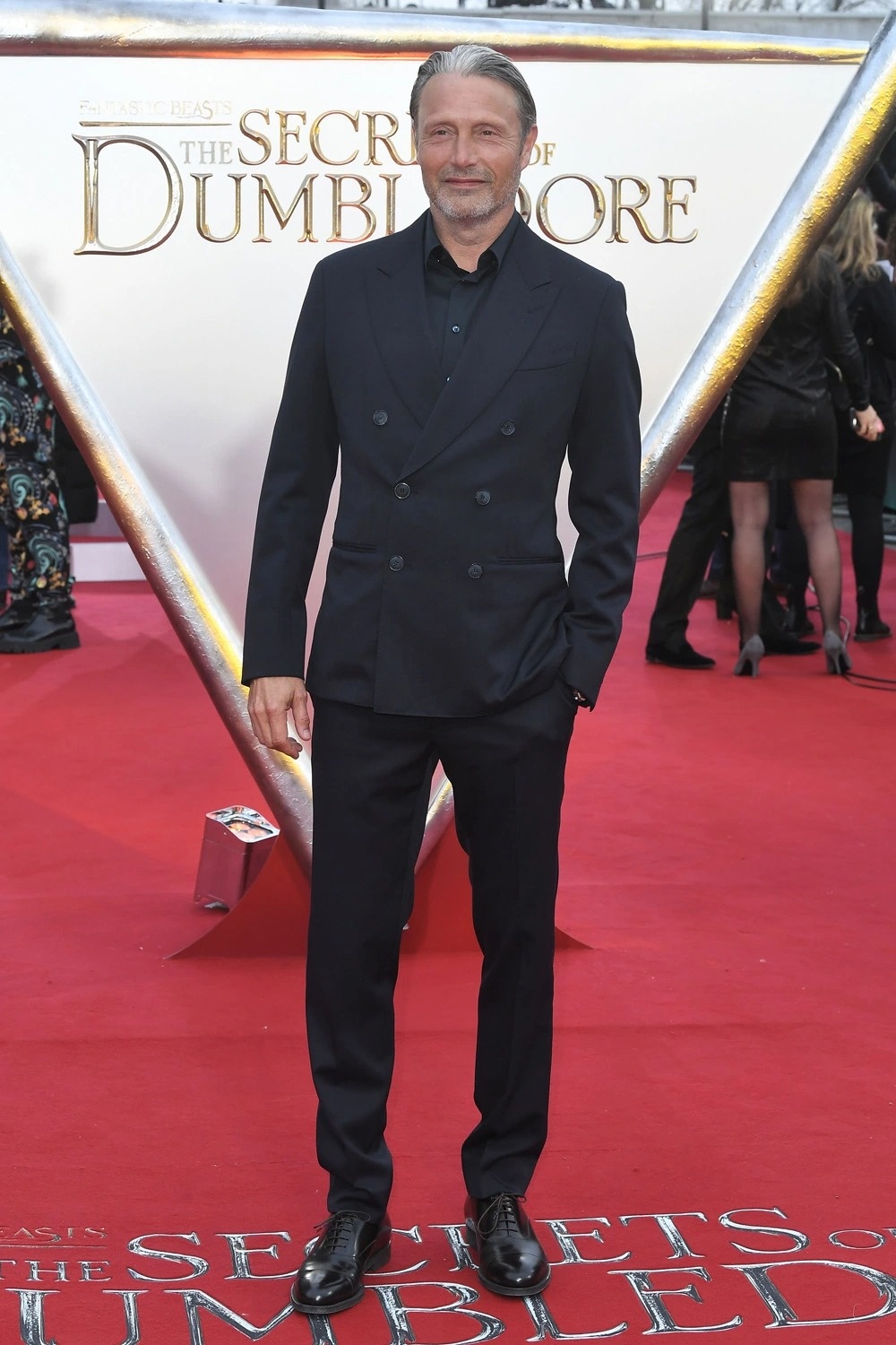 Fantastic Beasts: The Secrets of Dumbledore ảnh 2 Fantastic Beasts: The Secrets of Dumbledore anh 2