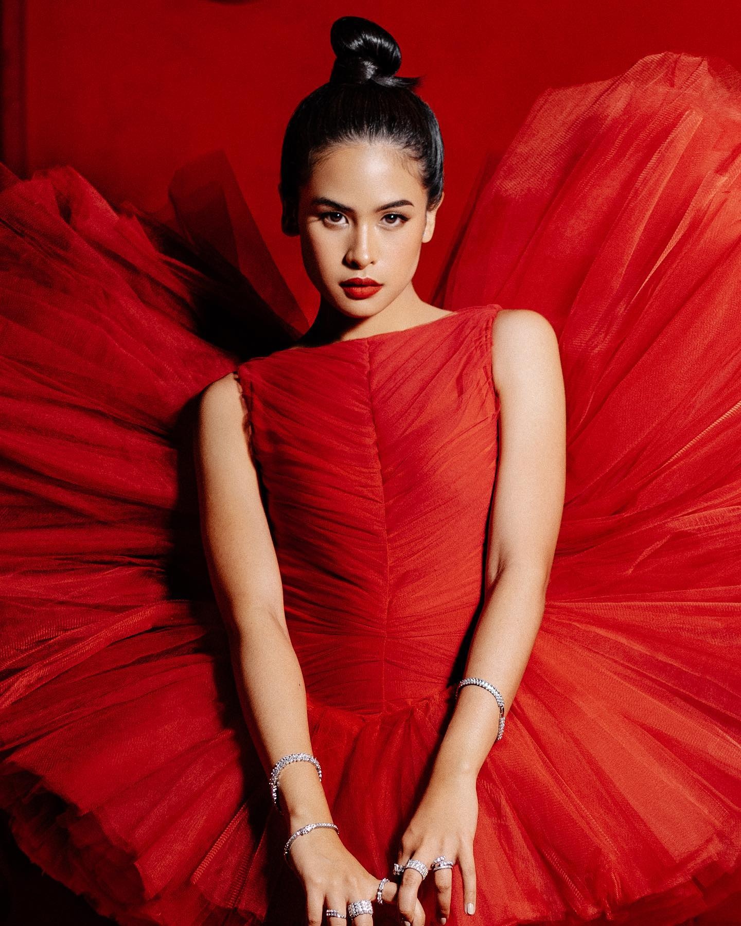 Indonesia chon nu ca si phat ngon vien G20 anh 12