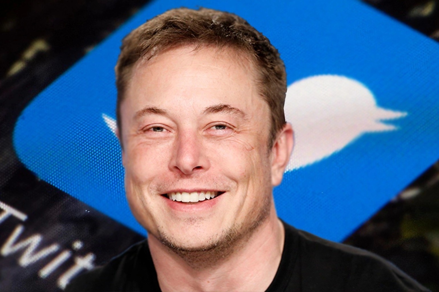 Nghe si quoc te bo Twitter vi Elon Musk hinh anh