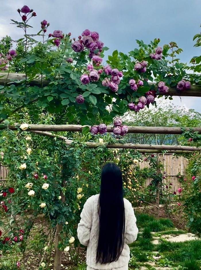 Ly Tu That phu nhan bien mat khoi mang xa hoi anh 1