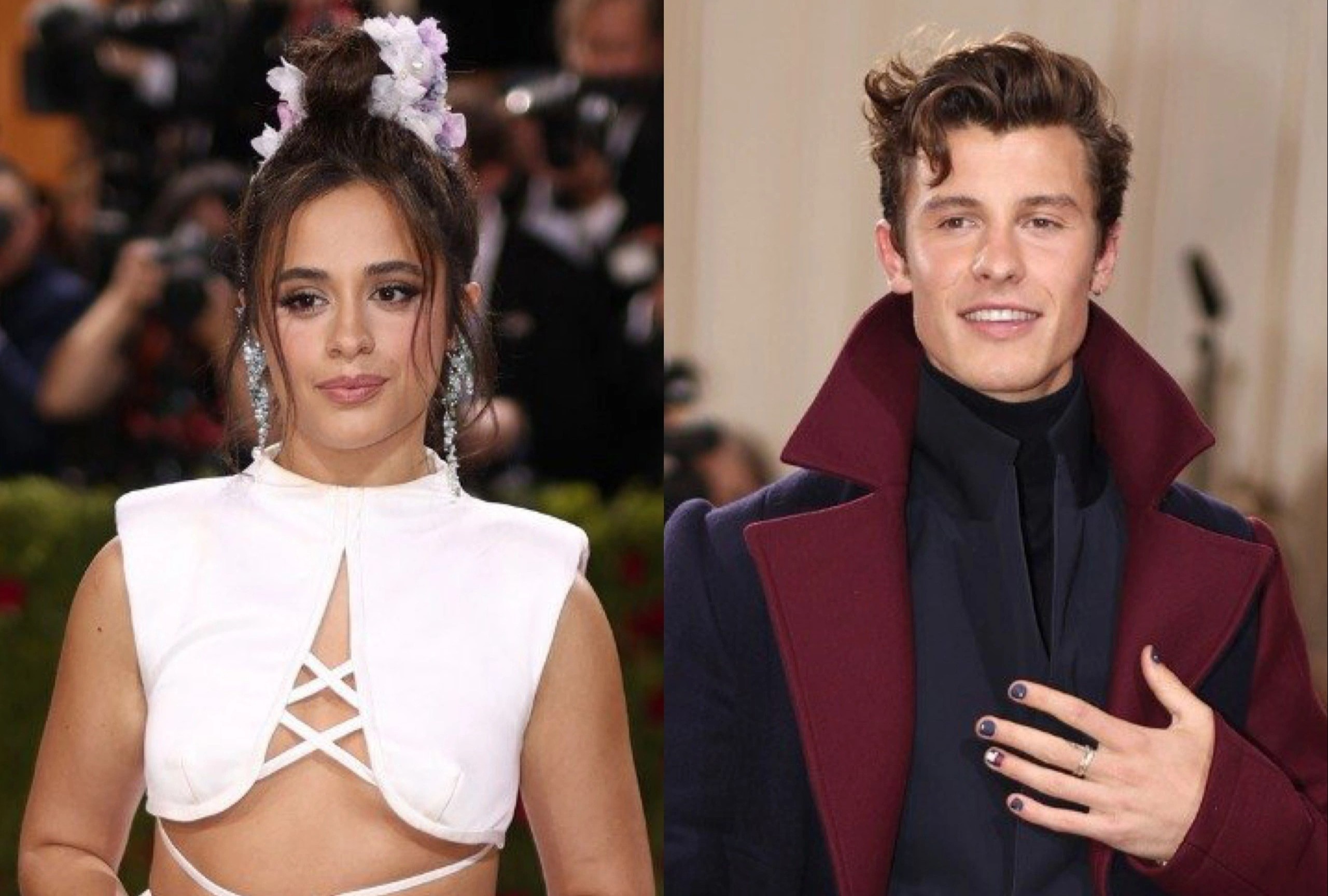 Camila Cabello va Shawn Mendes khong cham mat khi du Met Gala hinh anh