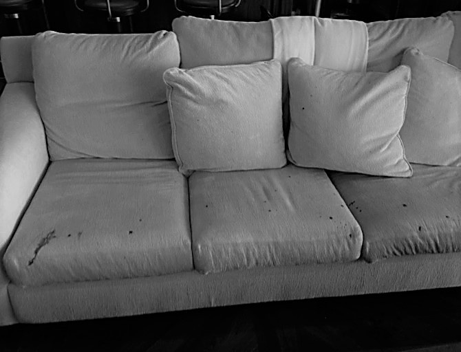 Johnny Dep va Amber Heard anh 2