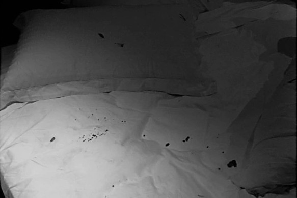 Johnny Dep va Amber Heard anh 1