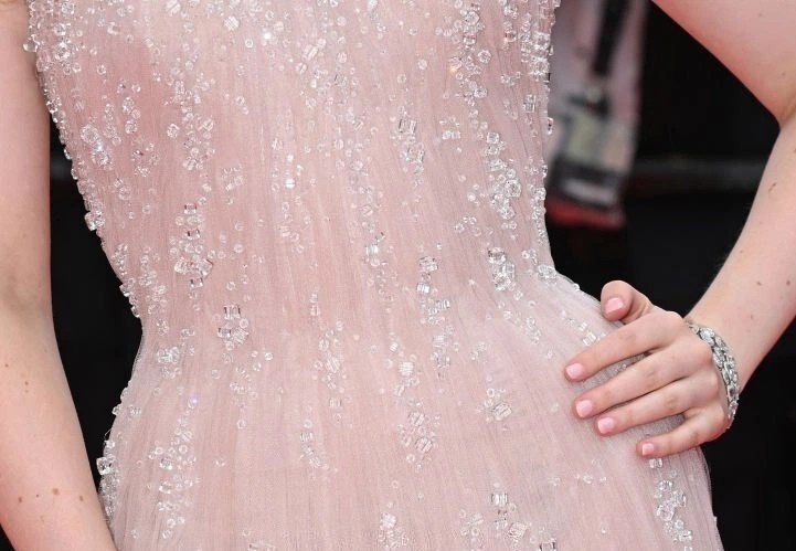 Elle Fanning tỏa sáng ở Cannes ảnh 5 Elle Fanning toa sang o Cannes anh 5