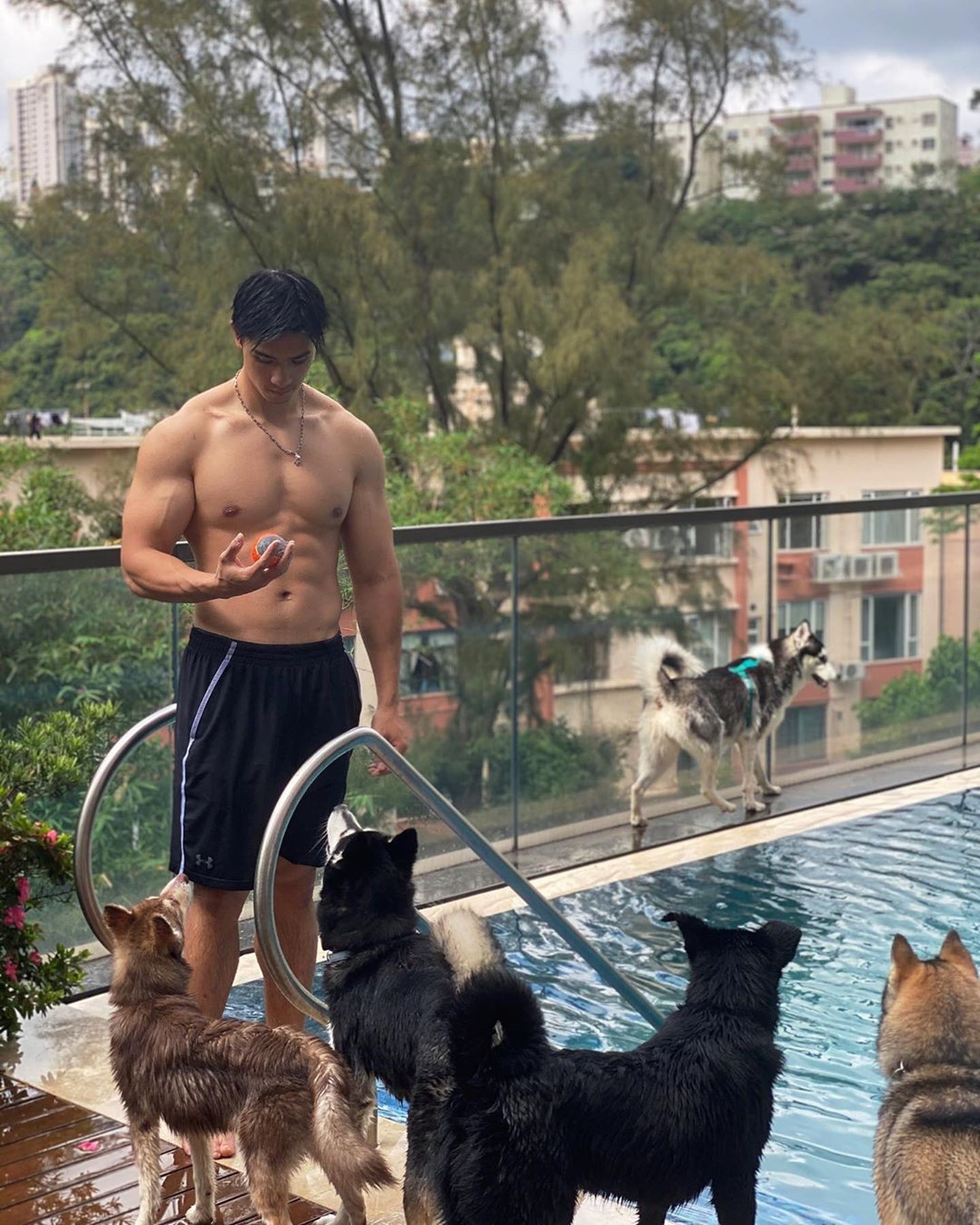 Bieu tuong sac dep Hong Kong anh 8