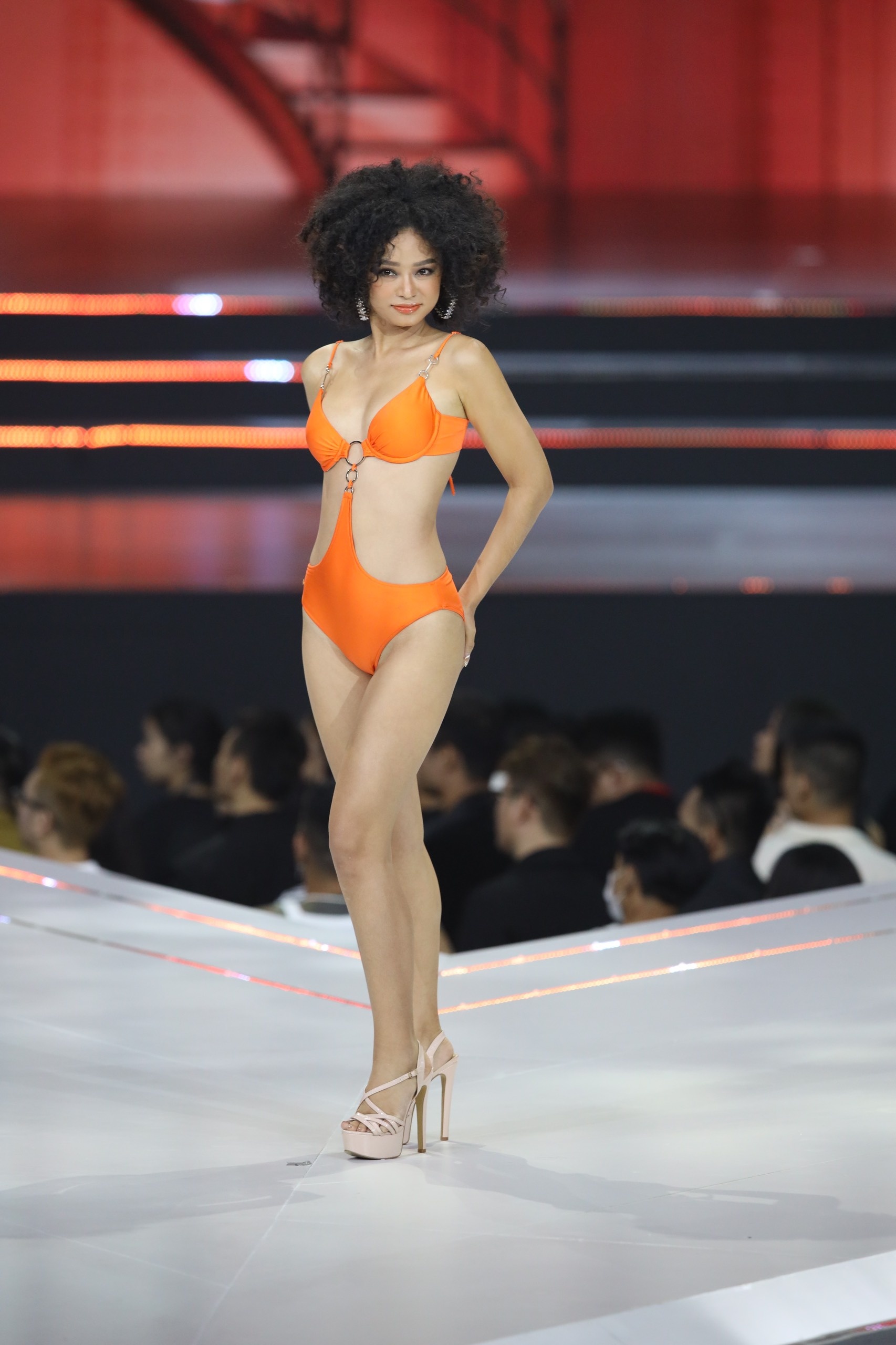 hoa hau hoan vu viet nam anh 8