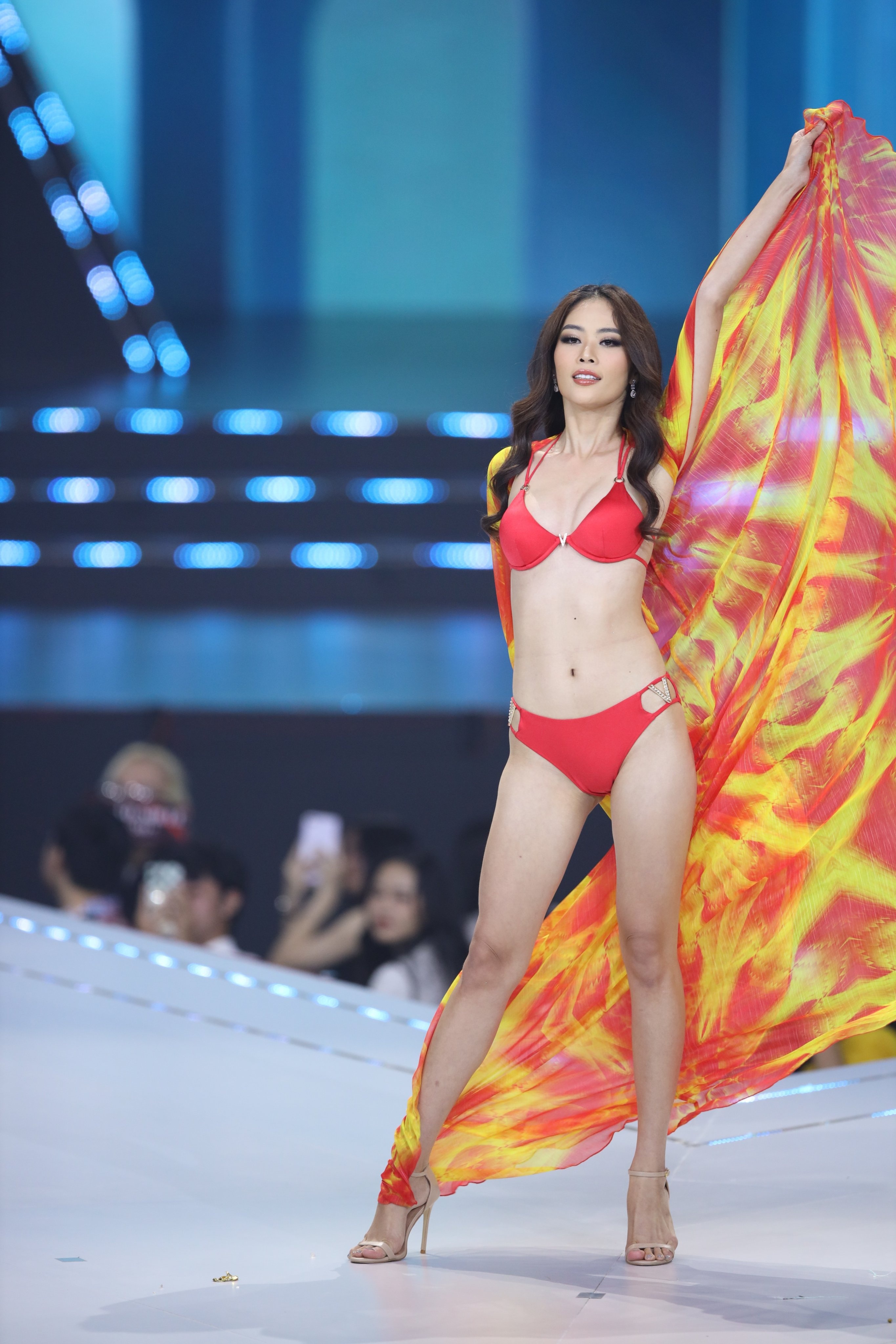 hoa hau hoan vu viet nam anh 9