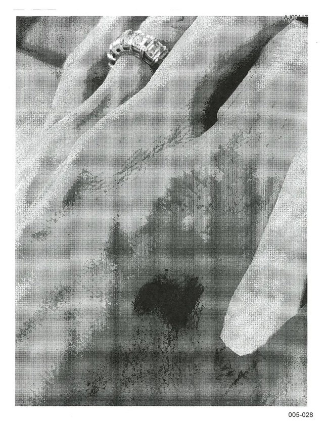 Angelina Jolie và Brad Pitt ảnh 3 Angelina Jolie va Brad Pitt anh 3