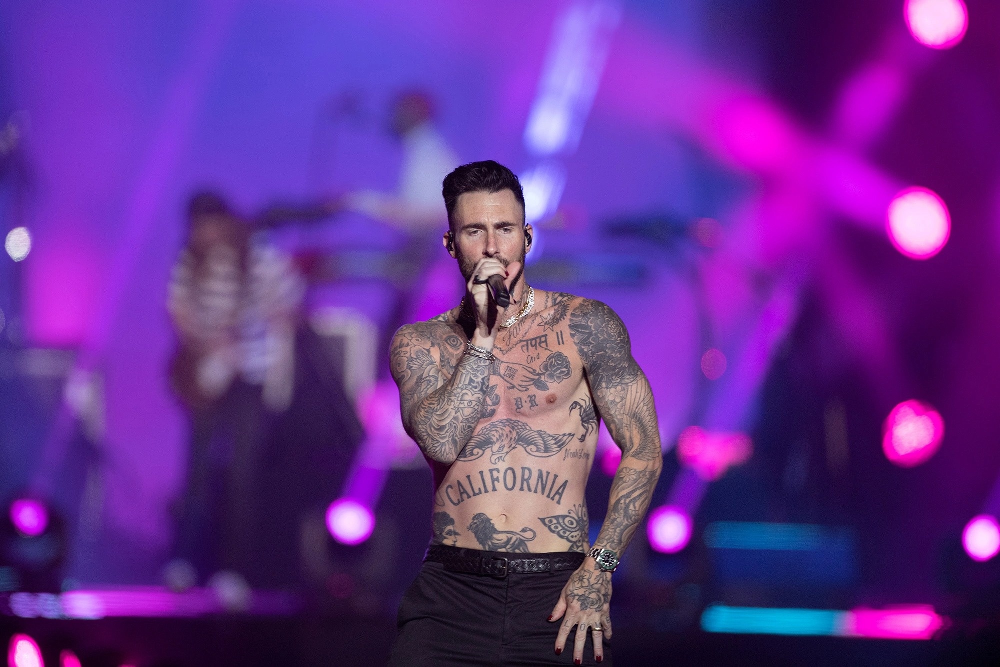 Tai san cua Adam Levine anh 4