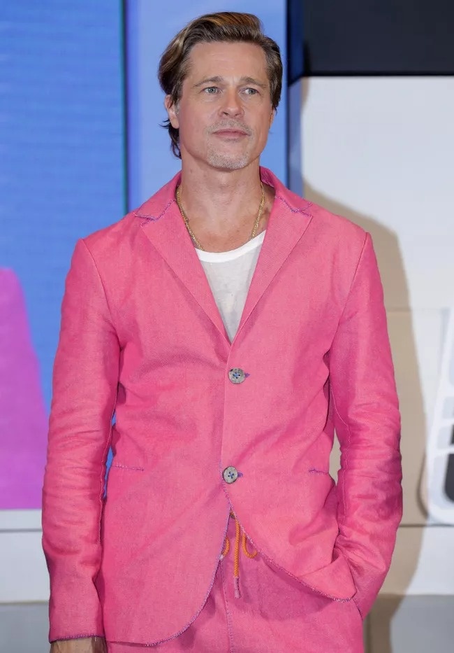 Brad Pitt hen ho anh 1