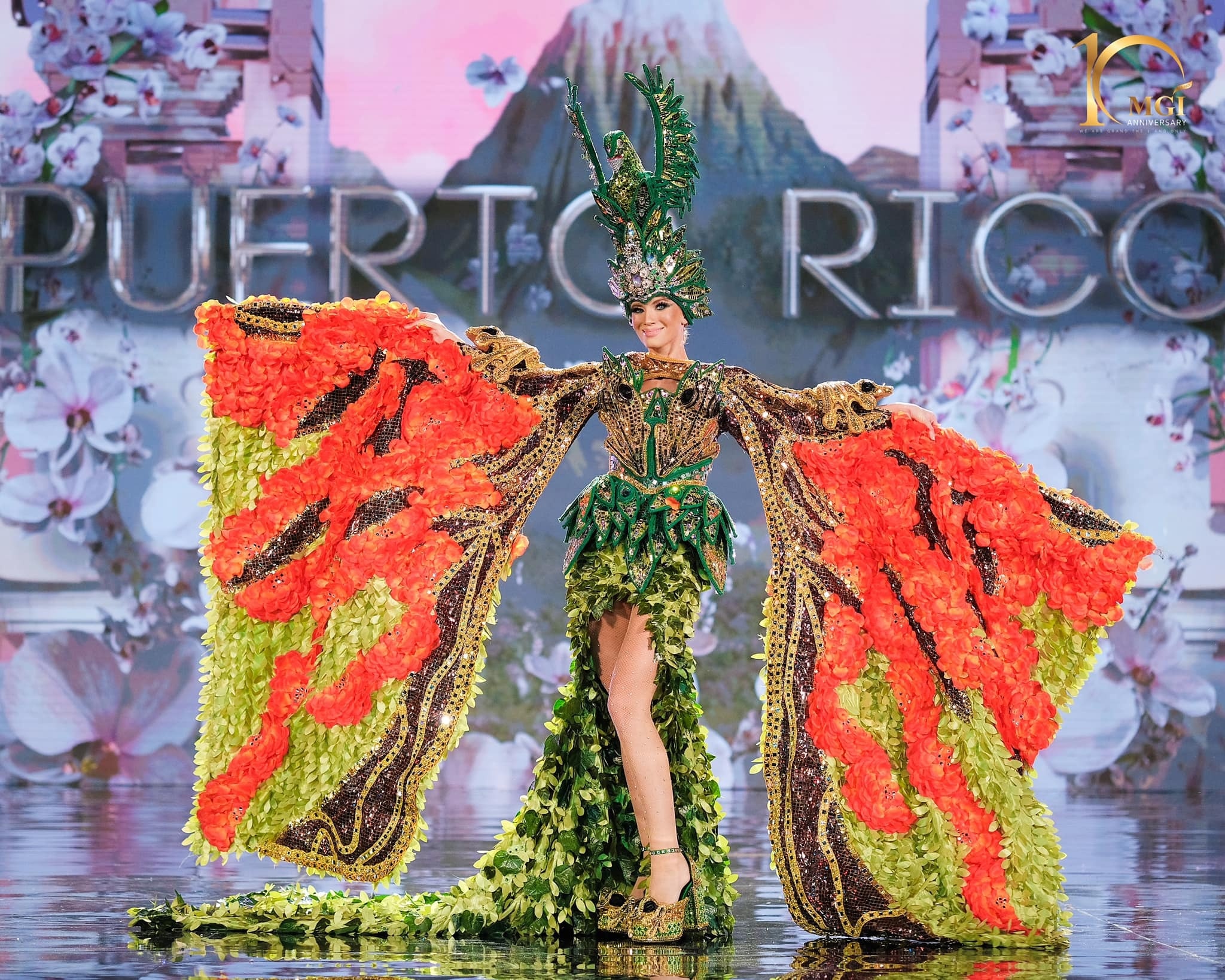 Hoa hau Hoa binh anh 7