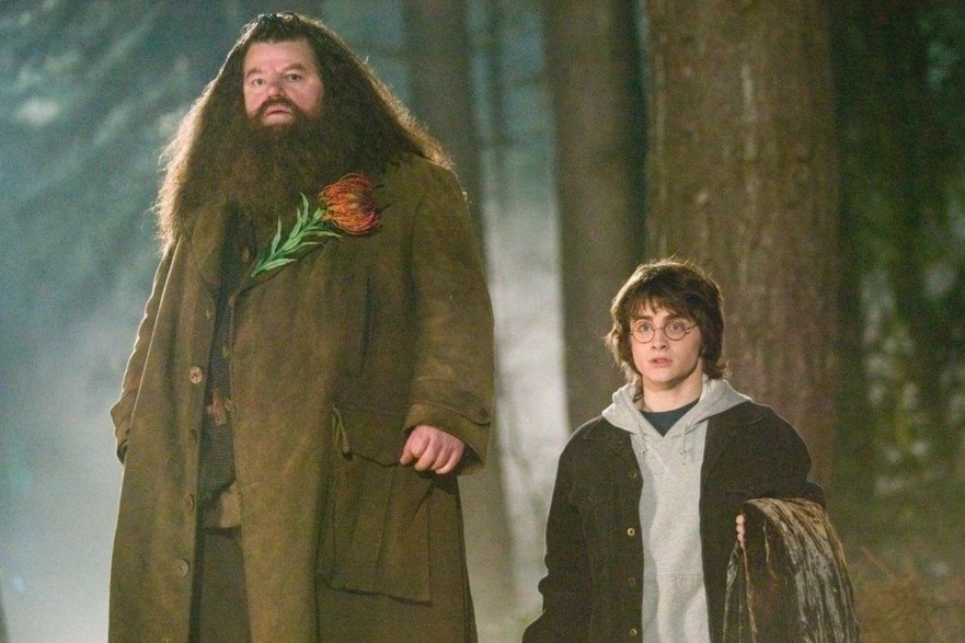 Sao phim 'Harry Potter' dau om trien mien truoc khi qua doi hinh anh