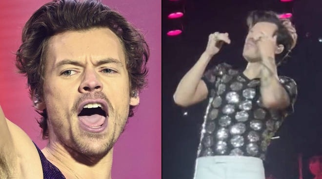 Harry Styles bị tấn công  ảnh 1 Harry Styles bi tan cong anh 1