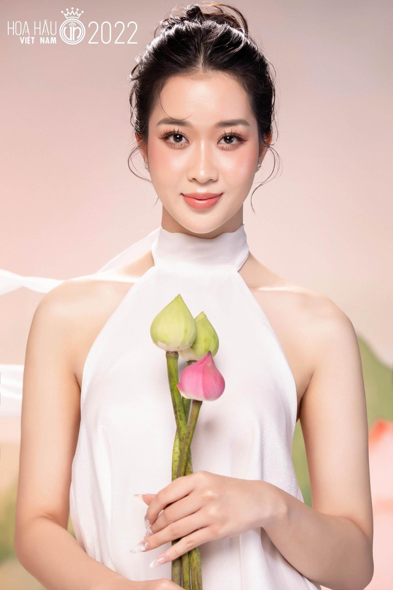 Hoa hậu Việt Nam ảnh 24 Hoa hau Viet Nam anh 24