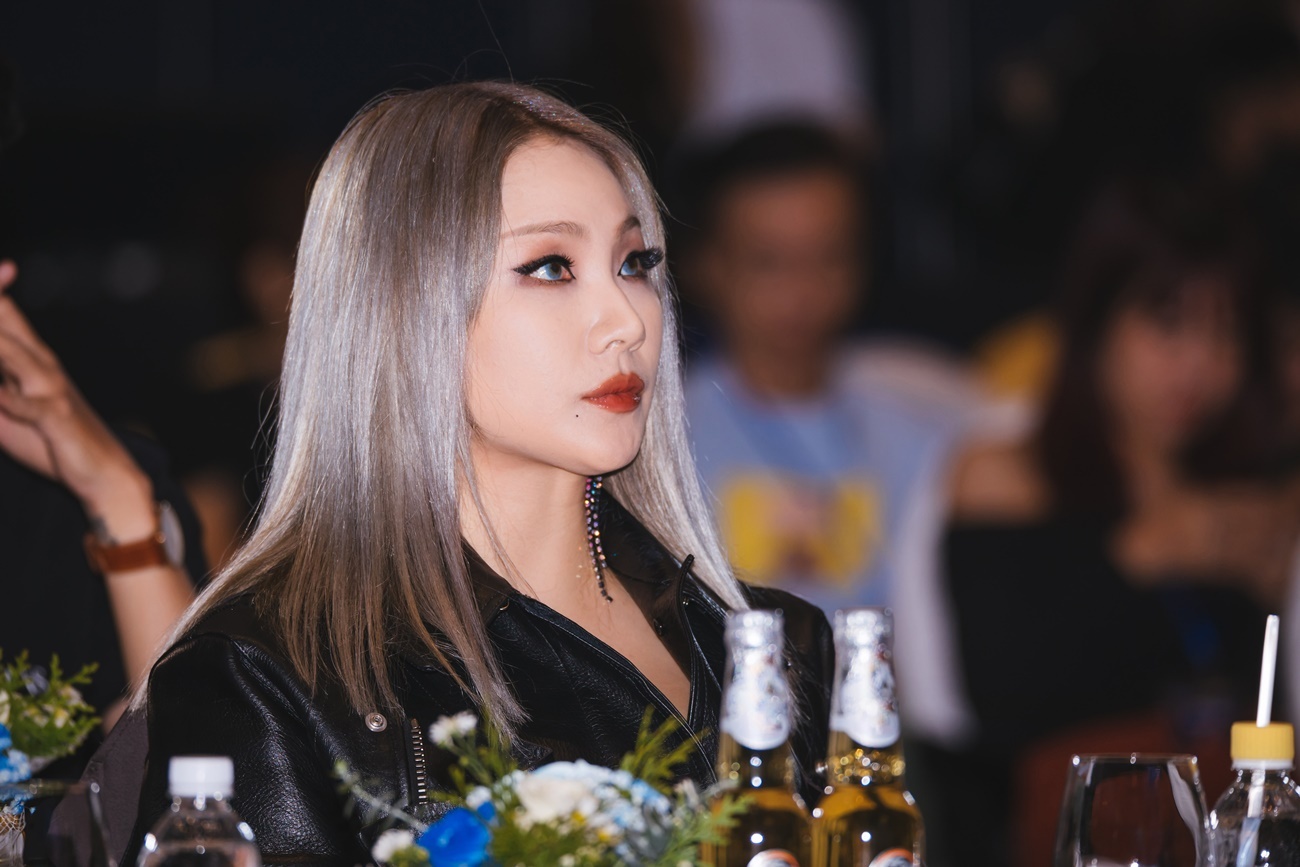 CL den Viet Nam anh 1