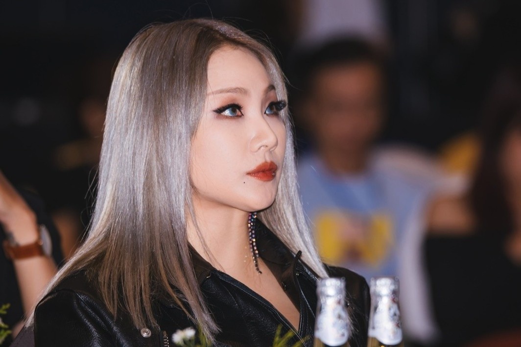 CL se bieu dien o pho di bo Nguyen Hue hinh anh