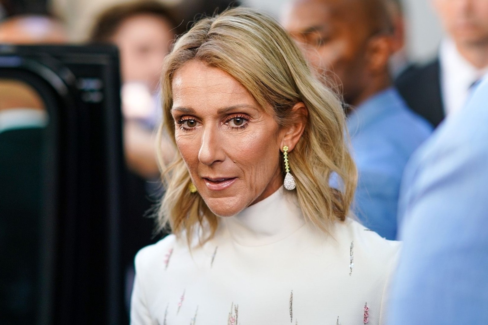 Celine Dion bi hat hui hinh anh