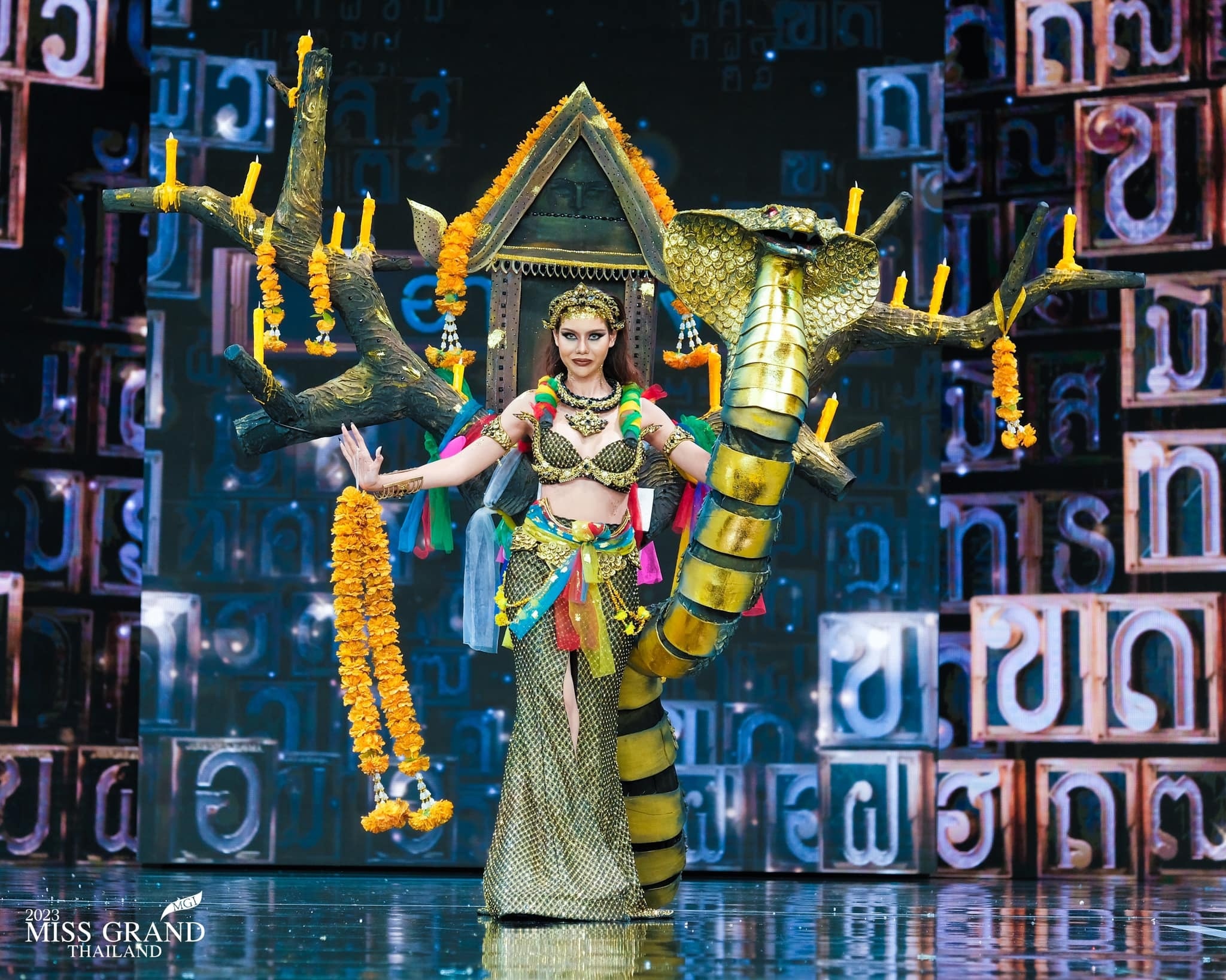 Hoa hau Hoa binh anh 14