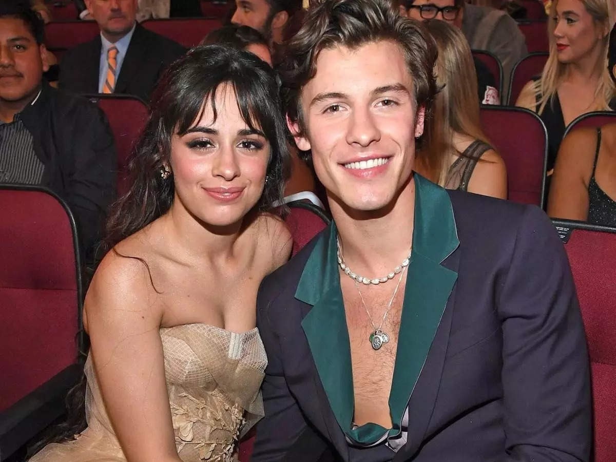 Shawn Mendes om hon Camila Cabello tai show dien cua Taylor Swift hinh anh