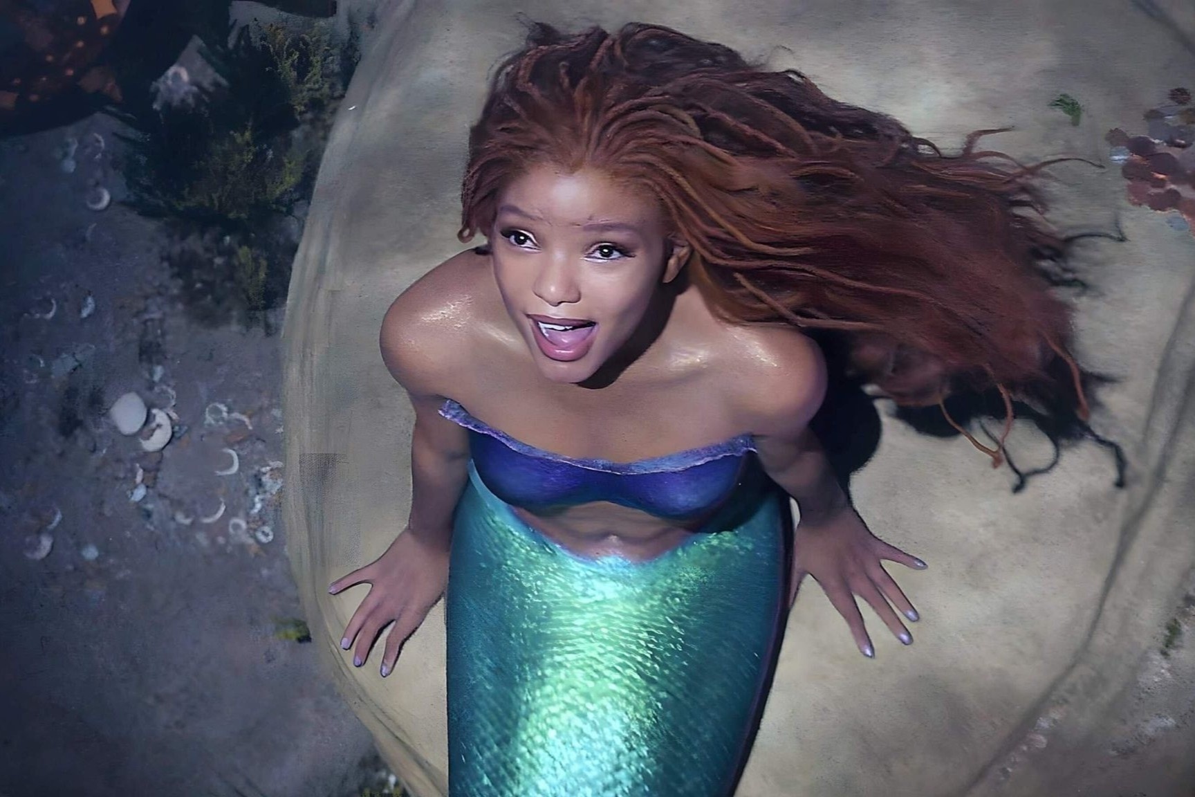 Chuyen gia tien ca khang dinh nang tien ca da mau la dung hinh anh