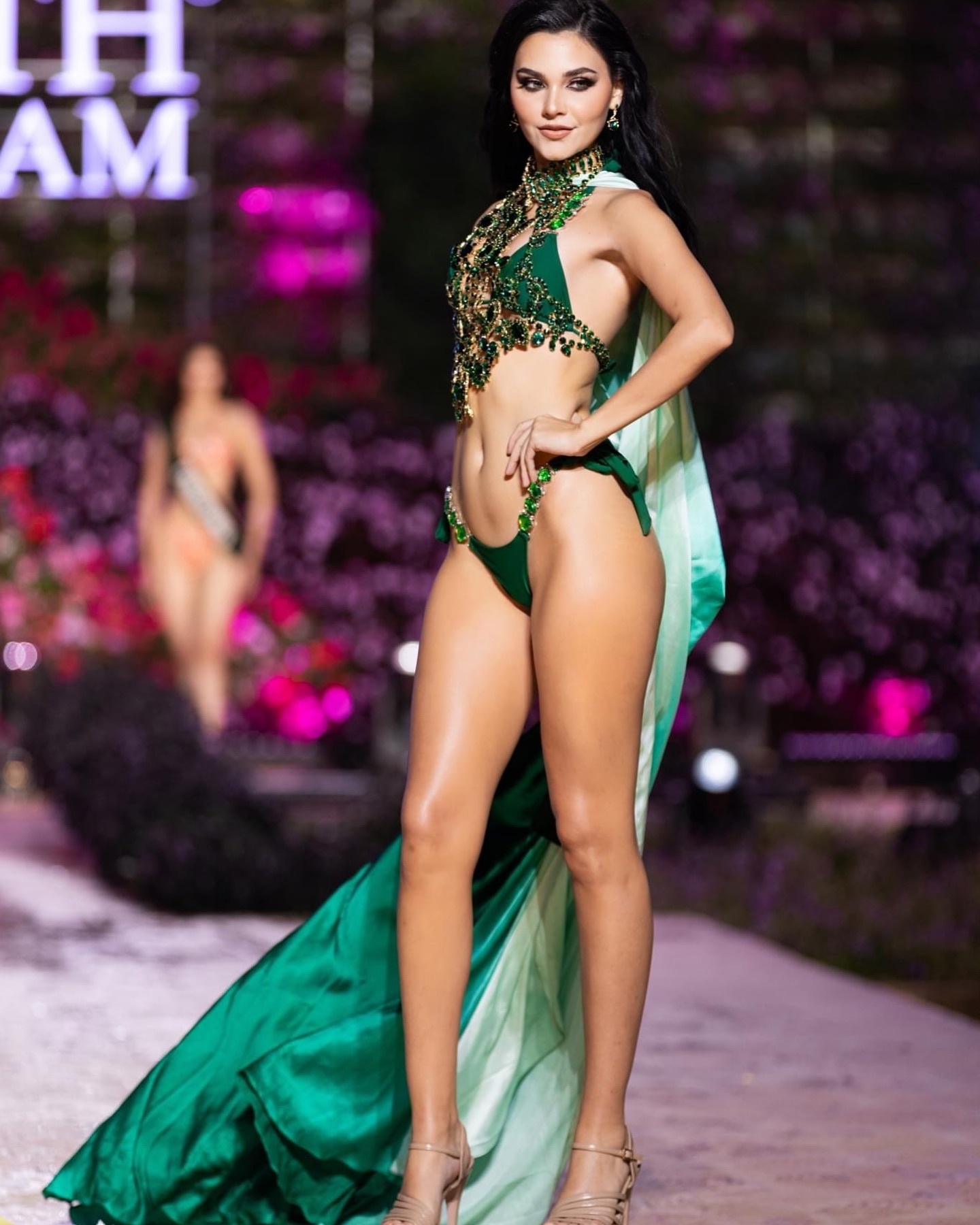 Miss Earth anh 1