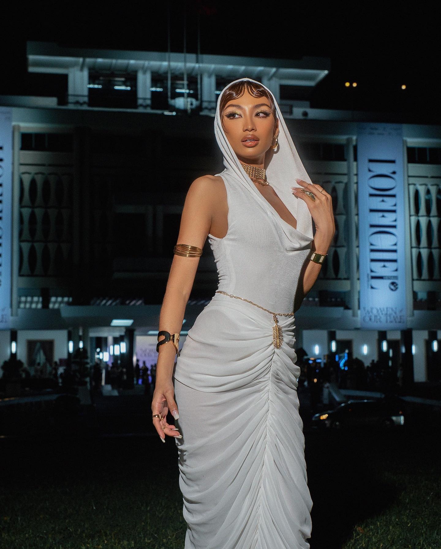 Hoa hậu Hoàn vũ ảnh 3 Hoa hau Hoan vu anh 3