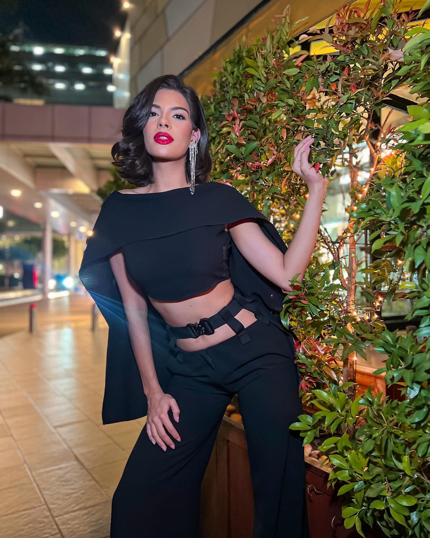 Hoa hậu Hoàn vũ ảnh 8 Hoa hau Hoan vu anh 8