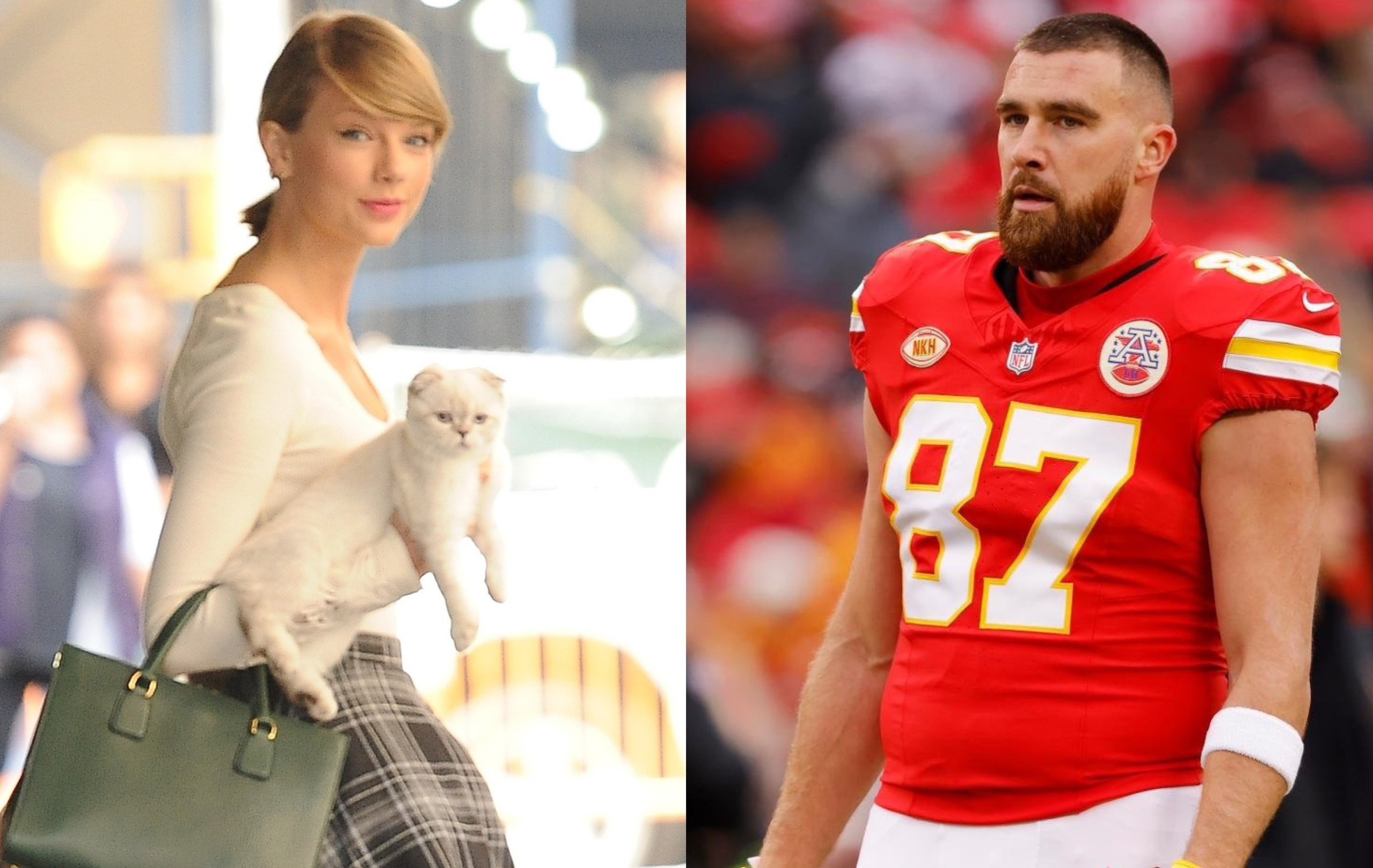 Meo cua Taylor Swift giau gap doi ban trai nu ca si hinh anh