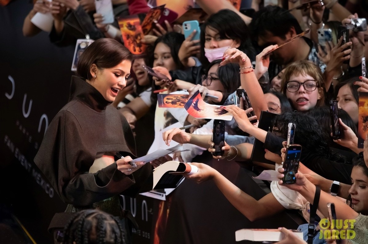 Zendaya ho bao anh 7